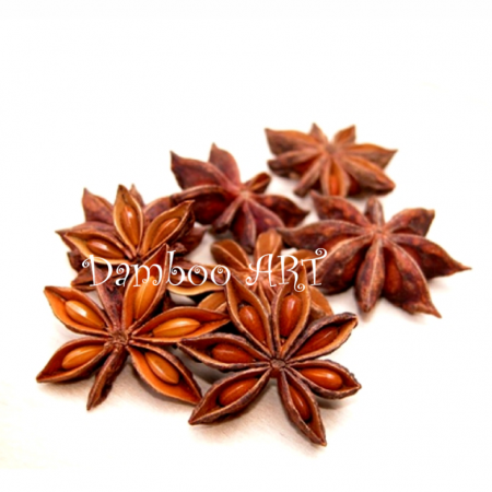 ACCESORII - ANASON DECORATIV