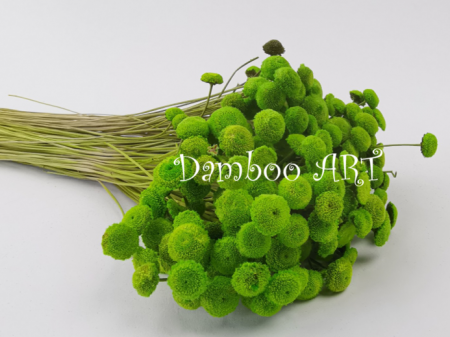 BOTAO NATURAL STABILIZAT VERDE DESCHIS [0]