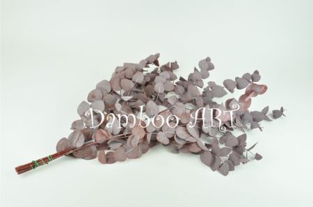 PLANTE NATURALE STABILIZATE - Eucalipt Cinerea Rosu ruginiu