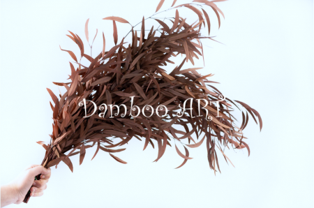 Eucalipt Nicoly Rosu GRENA [1]