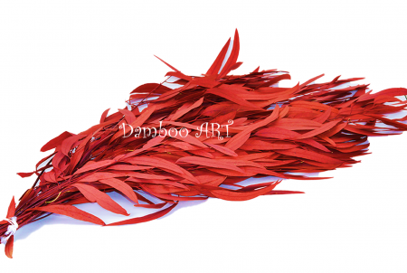 PLANTE NATURALE STABILIZATE - Eucalipt Nicoly Rosu GRENA