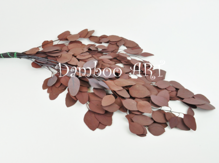 PLANTE NATURALE STABILIZATE - Eucalipt Populus Natural Stabilizat Rosu