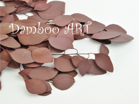 Eucalipt Populus Natural Stabilizat Rosu [1]