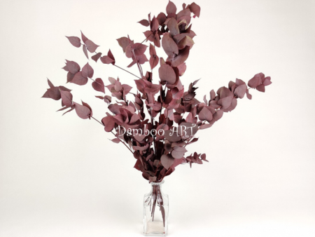 PLANTE NATURALE STABILIZATE - Eucalipt Stuartiana Natural Stabilizat, Rosu Ruginiu