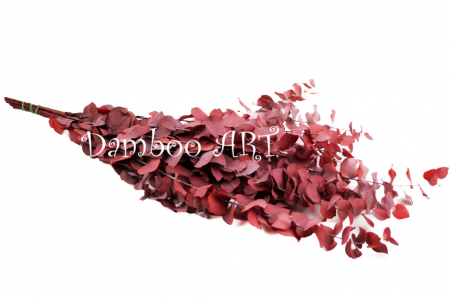Eucalipt Stuartiana Red Rose [1]