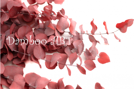 Eucalipt Stuartiana Red Rose [0]