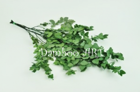EUCALIPT STUARTIANA STABILIZAT, VERDE [2]