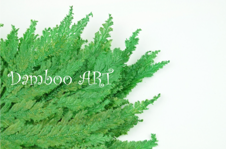 Feriga Colombiana Naturala Stabilizata, Verde [1]