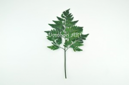 Feriga Cuir, Naturala Stabilizata Verde [1]