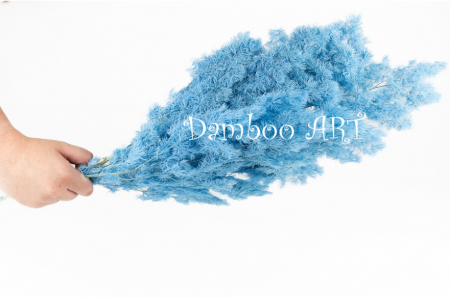 FERIGA NATURALA STABILIZATA MING BLUE [1]