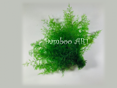 Feriga Sertularia naturala stabilizata, Verde [1]