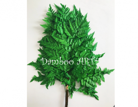 FERIGA STABILIZATA - NATURAL GREEN - 9 fire [0]