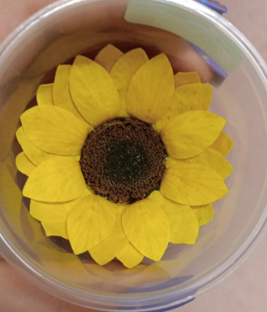 %LICHIDARE STOC% - FLOAREA SOARELUI CRIOGENATA - 6 CM