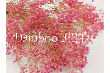 FLORI SI PLANTE - Gypsophilla Criogenata ROZ - EXTRA