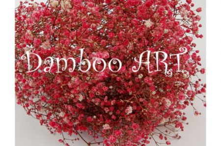 FLORI SI PLANTE - GYPSOPHILA naturala stabilizata extra - bordeaux