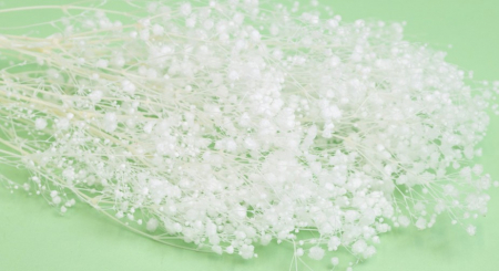 %LICHIDARE STOC% - GYPSOPHILLA CRIOGENATA ALB PUR