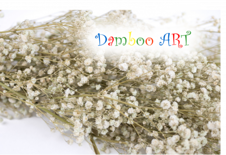 FLORI SI PLANTE - GYPSOPHILLA CRIOGENATA ALBA - 90-100 GR