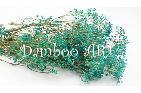 FLORI NATURALE CRIOGENATE - Gypsophilla Criogenata TUCOISE