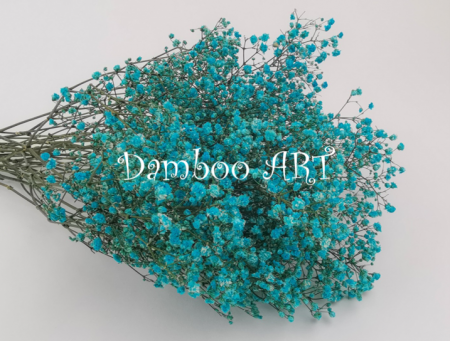 LICHENI SI MUSCHI - Gypsophilla Criogenata TURCOISE - EXTRA