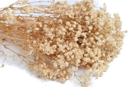 PLANTE NATURALE STABILIZATE - GYPSOPHILLA EXTRA ALB IVOIRE - 100 gr