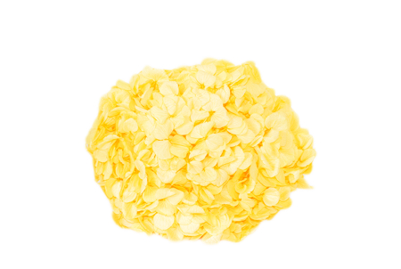 FLORI SI PLANTE - HORTENSIE GALBENA CU PETALE MEDII-MARI