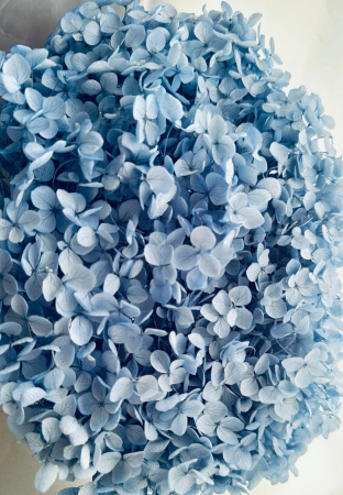 LICHENI SI MUSCHI - HORTENSIE NATURALA STABILIZATA CU FLORI MICI - BLEO