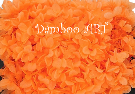 FLORI SI PLANTE - HORTENSIE NATURALA STABILIZATA CU FLORI MICI ORANGE