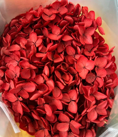 FLORI SI PLANTE - HORTENSIE NATURALA STABILIZATA CU FLORI MICI ROSIE
