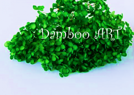 FLORI SI PLANTE - HORTENSIE NATURALA STABILIZATA CU FLORI MICI, VERDE DESCHIS