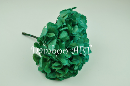 HORTENSIE NATURALA STABILIZATA, TURCOISE [1]
