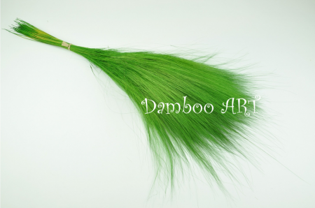 PLANTE NATURALE STABILIZATE - IARBA BARBA GREEN