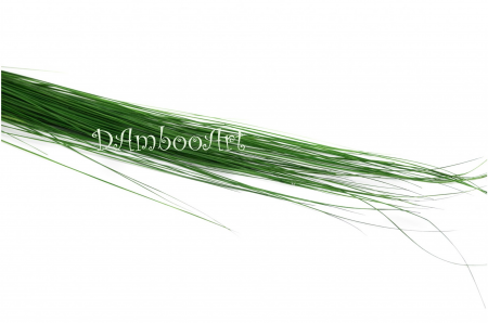 LICHENI SI MUSCHI - IARBA NATURALA STABILIZATA - FIR ROTUND