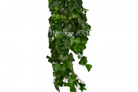 PLANTE NATURALE STABILIZATE - IEDERA CURGATOARE, NATURALA STABILIZATA - 100 gr