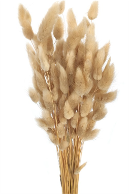 LAGURUS DIVERSE CULORI - 100 gr [13]