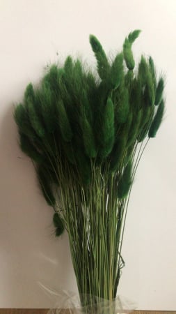 LAGURUS DIVERSE CULORI - 100 gr [9]