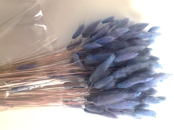 LAGURUS DIVERSE CULORI - 100 gr [5]