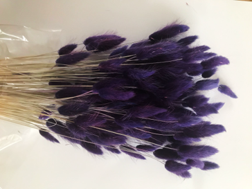 LAGURUS DIVERSE CULORI - 100 gr [6]