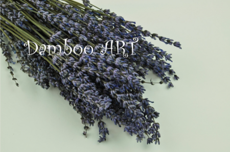 LAVANDA NATURALA CRIOGENATA MOV-ALBASTRUI [0]