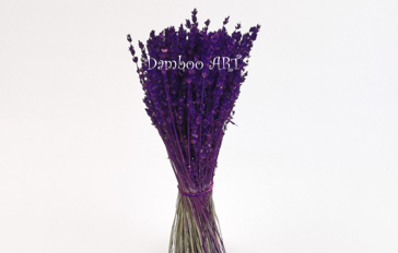 LAVANDA NATURALA CRIOGENATA MOV [0]