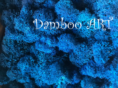 LICHENI SI MUSCHI - Licheni curatati, Royal Blue - 500 gr