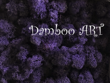 LICHENI CU RADACINA - Licheni naturali stabilizati, Mov intens