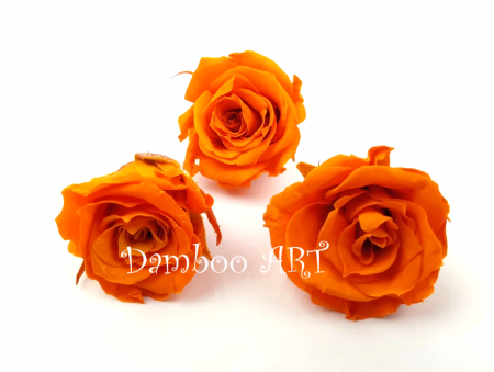 FLORI SI PLANTE - TRANDAFIR CRIOGENAT MINIROZA, ORANGE