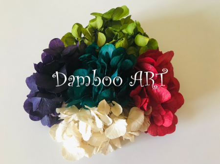 MIX 5 HORTENSII NATURAL STABILIZATE, ALB/CREM, ROSU, VERDE, TURCOISE, MOV [1]