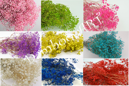 FLORI NATURALE CRIOGENATE - MIX GYPSOPHILLA EXTRA - 3-5 CULORI LA ALEGERE