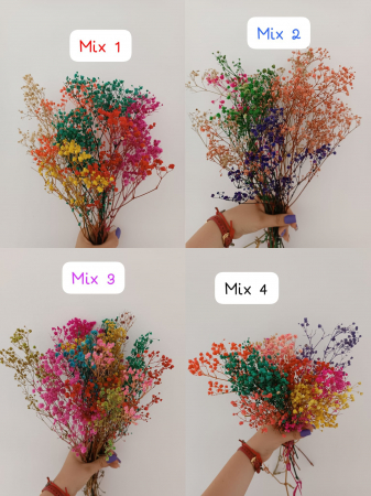 FLORI SI PLANTE - MIX GYPSOPHILLA SIMPLA/EXTRA - 50 gr