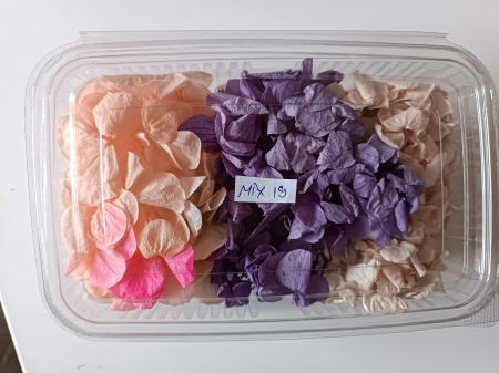 MIX HORTENSII - 40gr [18]