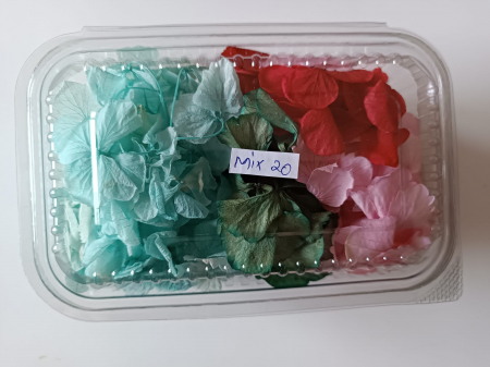 MIX HORTENSII - 40gr [20]