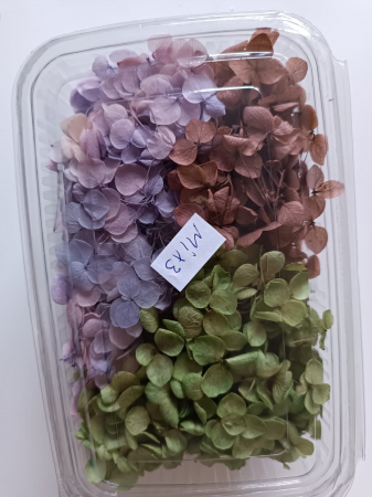 MIX HORTENSII - 40gr [2]