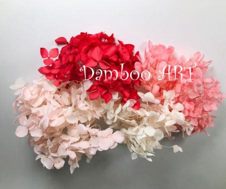 FLORI NATURALE CRIOGENATE - MIX 4-5 HORTENSII NATURALE STABILIZATE, Alb, Crem, Roz, Roz Flamingo, Fucsia