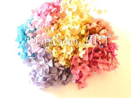 MIX HORTENSII NATURALE STABILIZATE cu flori mici, 6 CULORI [2]